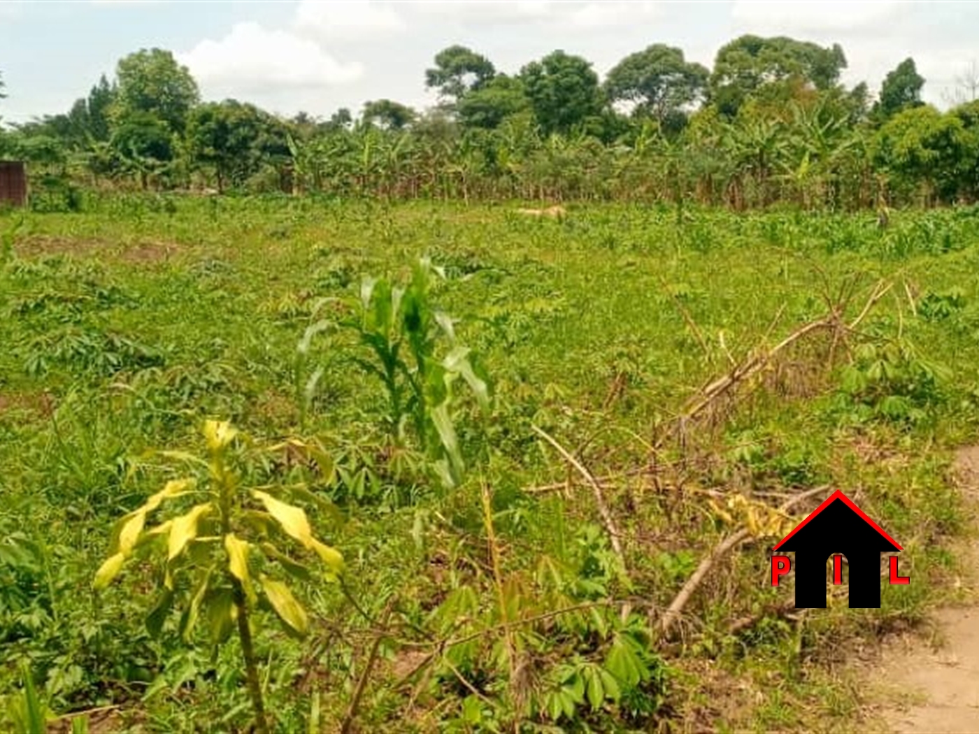 Residential Land for sale in Matugga Wakiso