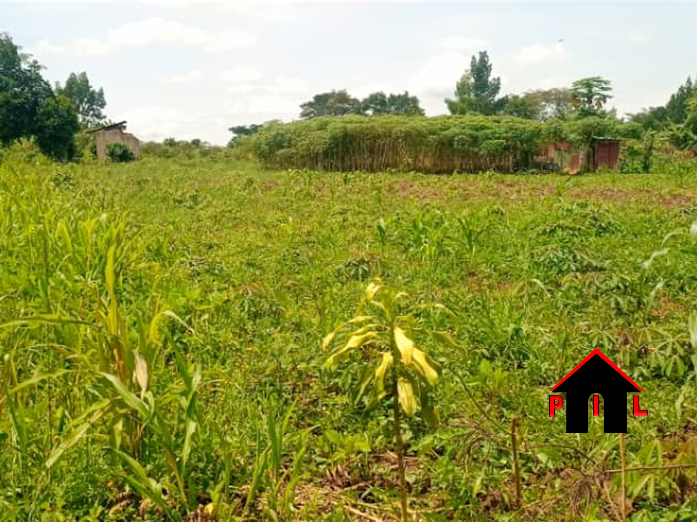 Residential Land for sale in Matugga Wakiso