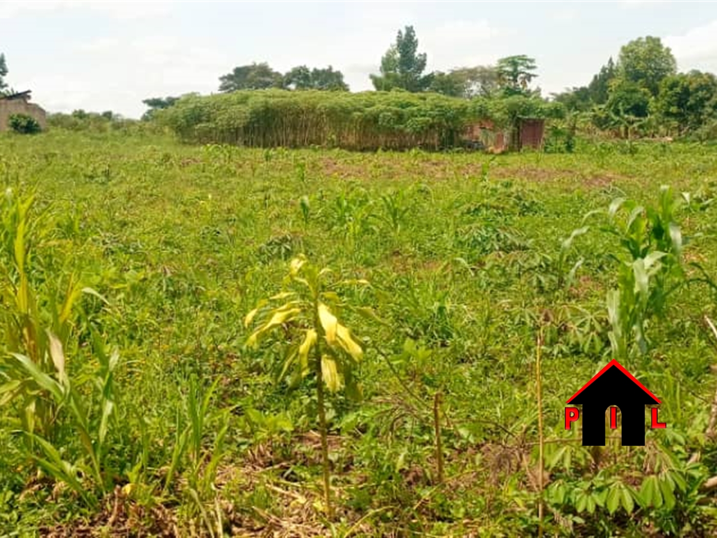 Residential Land for sale in Matugga Wakiso