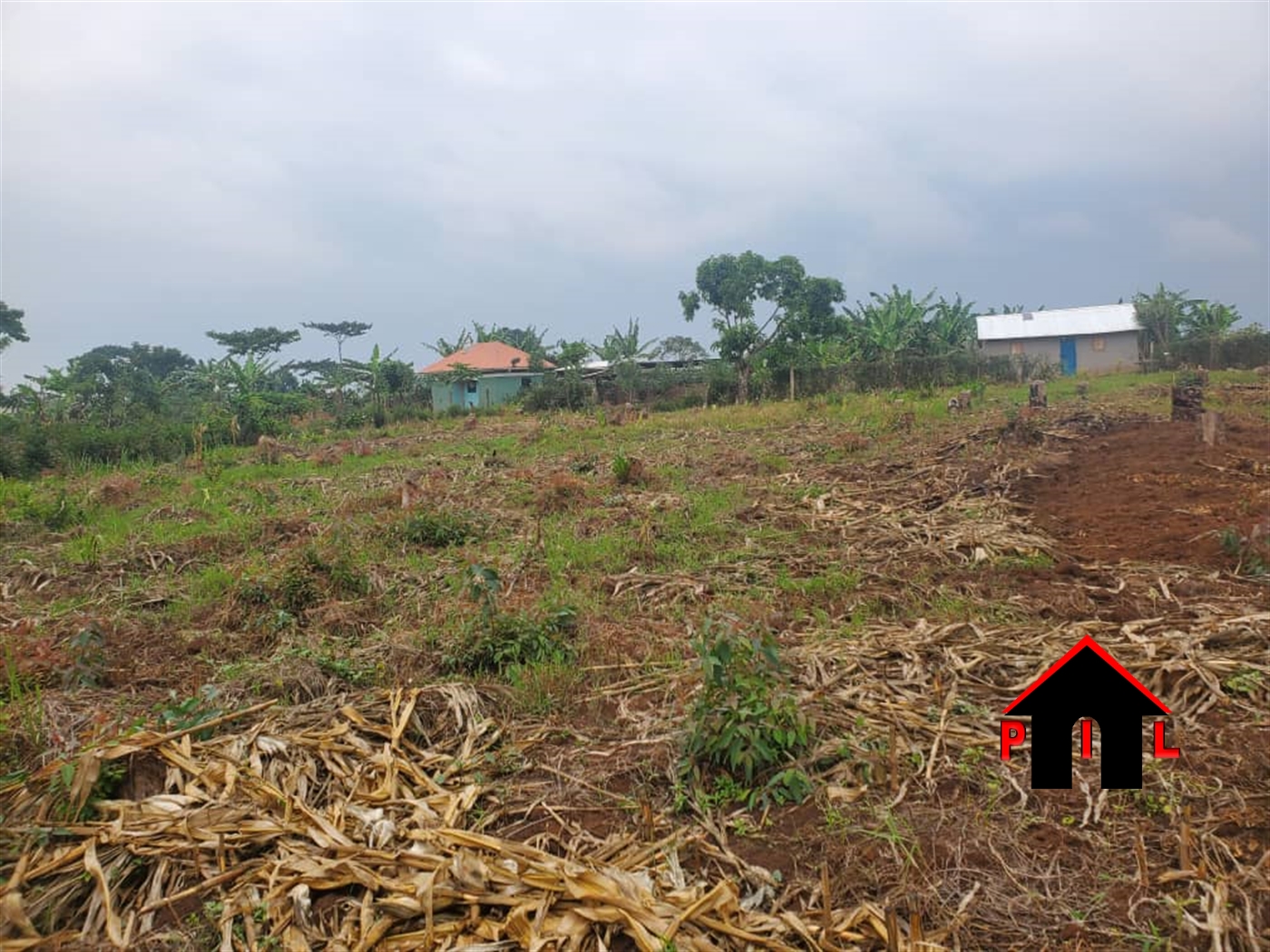 Agricultural Land for sale in Kyenjojotwn Kyenjojo