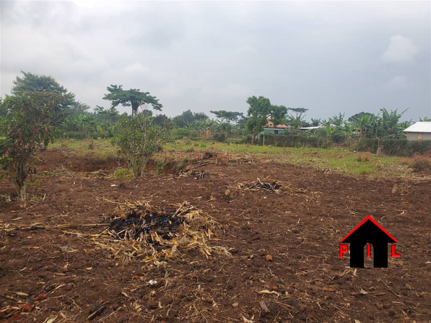 Agricultural Land for sale in Kyenjojotwn Kyenjojo