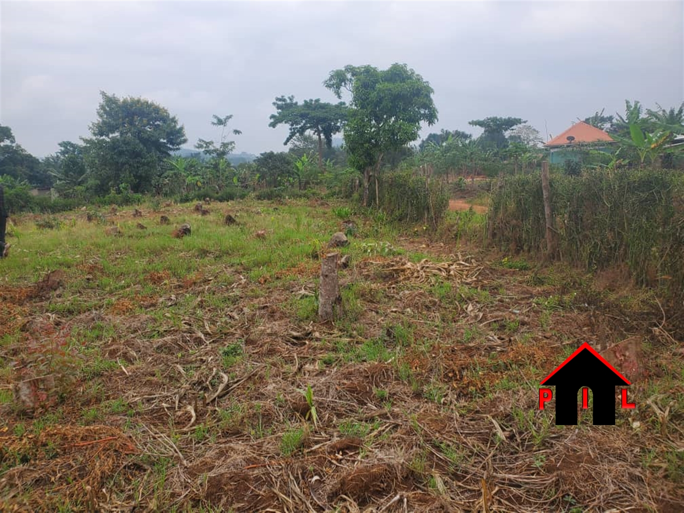 Agricultural Land for sale in Kyenjojotwn Kyenjojo