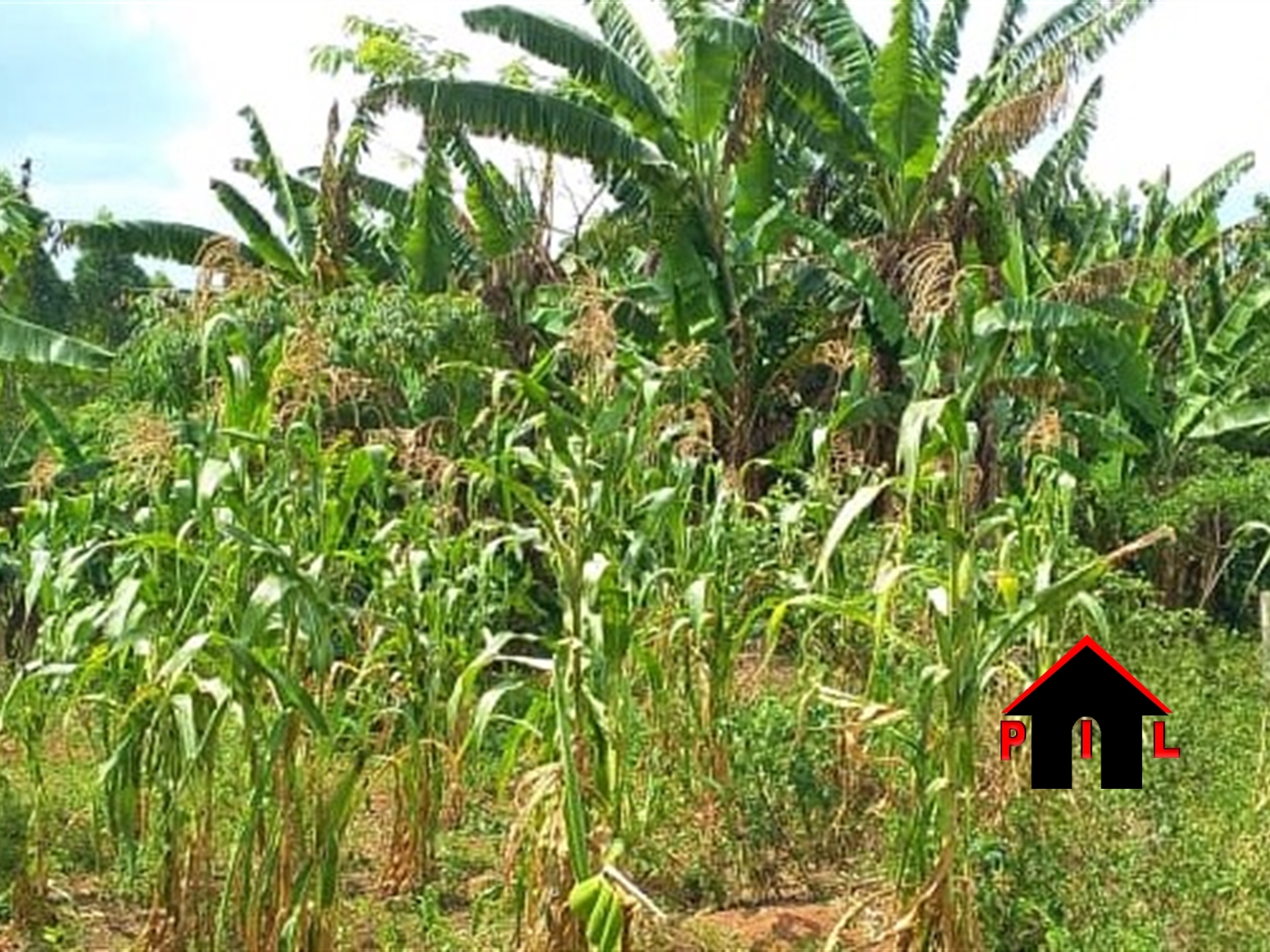 Commercial Land for sale in Namugongo Wakiso