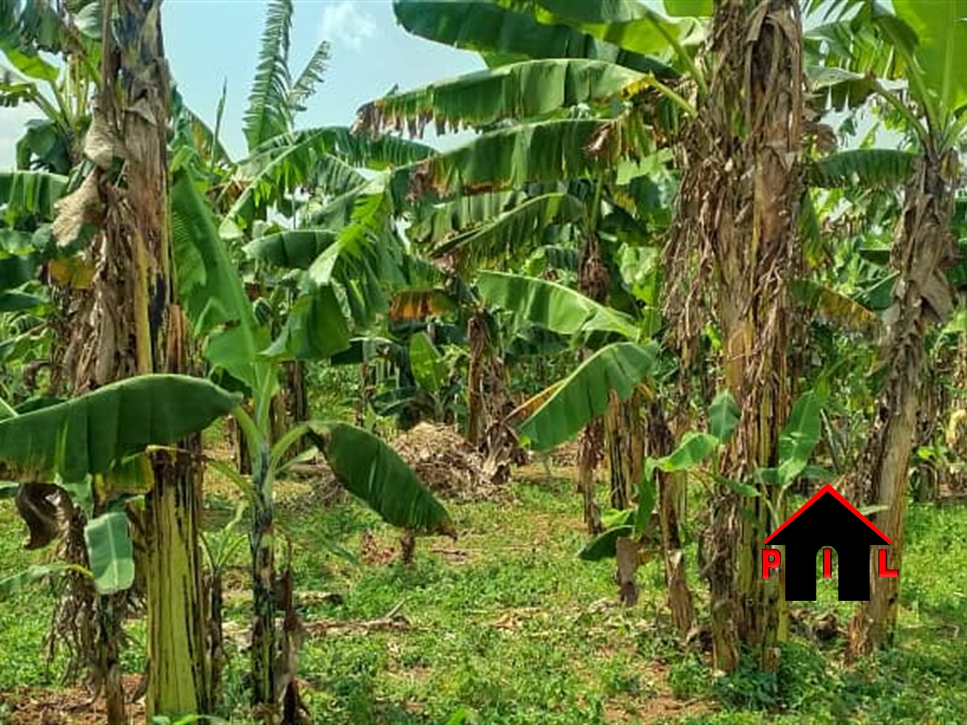 Commercial Land for sale in Namugongo Wakiso