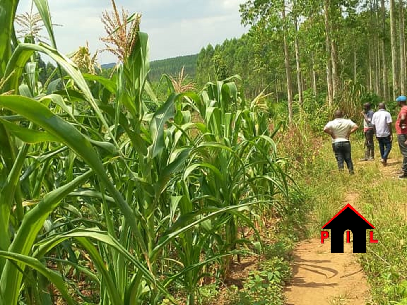 Commercial Land for sale in Namugongo Wakiso