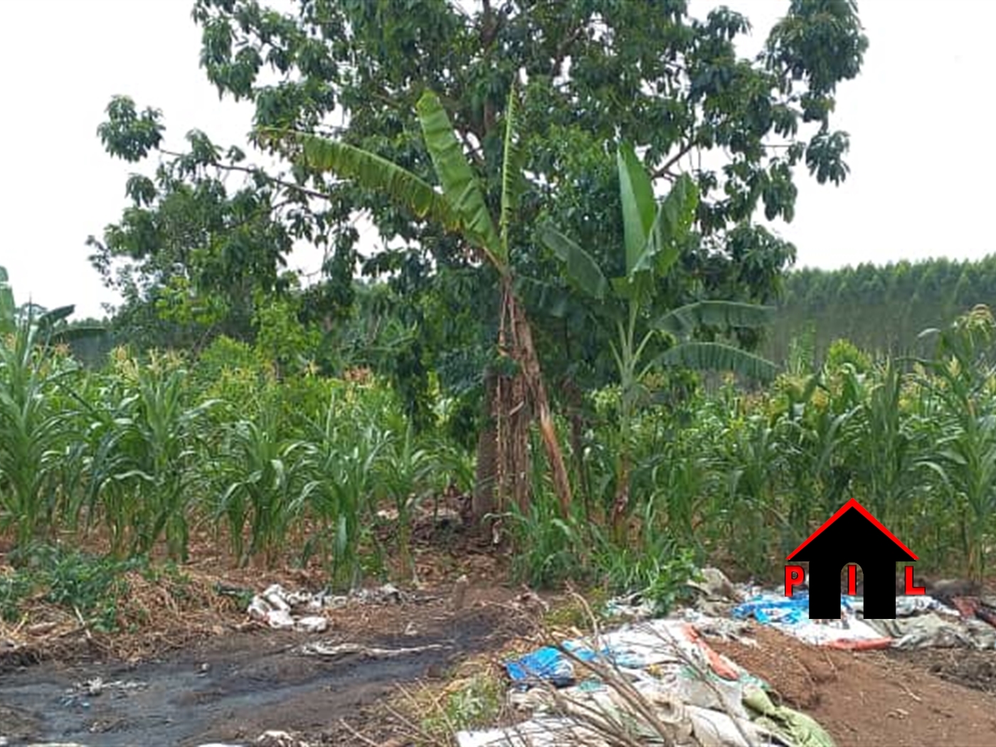 Commercial Land for sale in Namugongo Wakiso