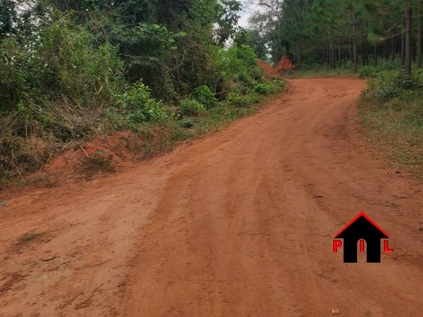 Agricultural Land for sale in Kakooge Nakasongola