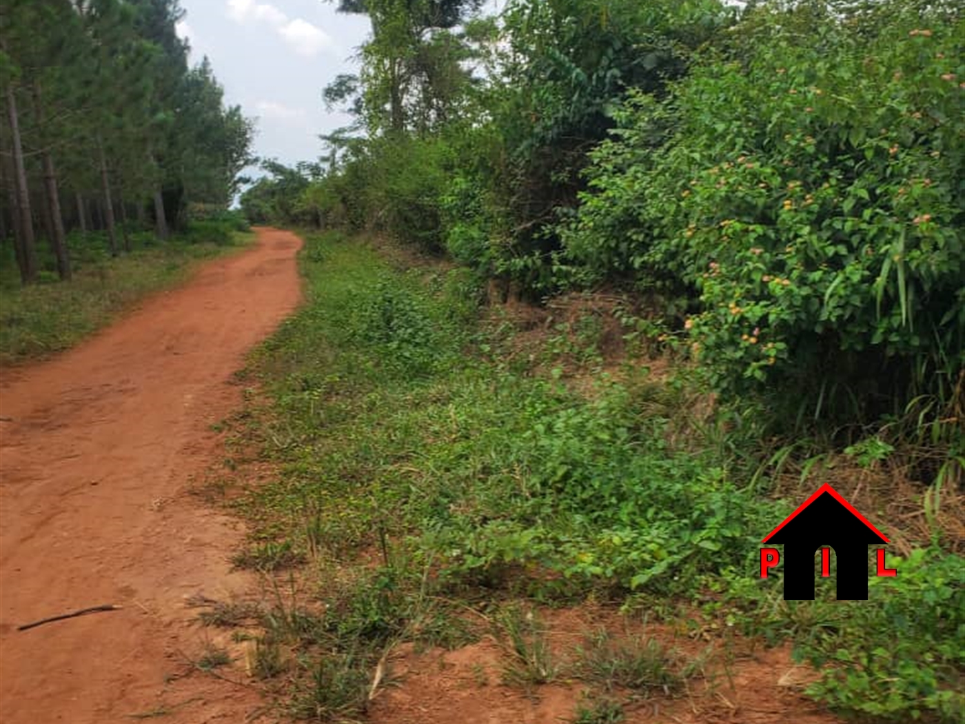 Agricultural Land for sale in Kakooge Nakasongola