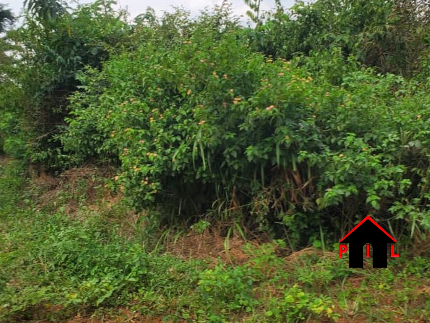 Agricultural Land for sale in Kakooge Nakasongola