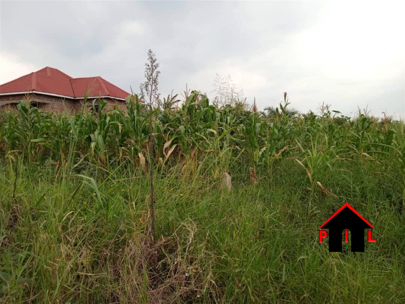 Residential Land for sale in Matugga Wakiso