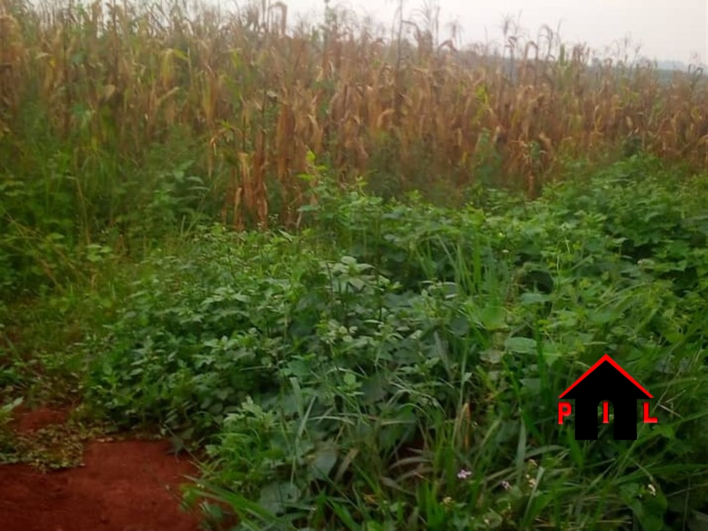 Agricultural Land for sale in Nakilebe Mpigi