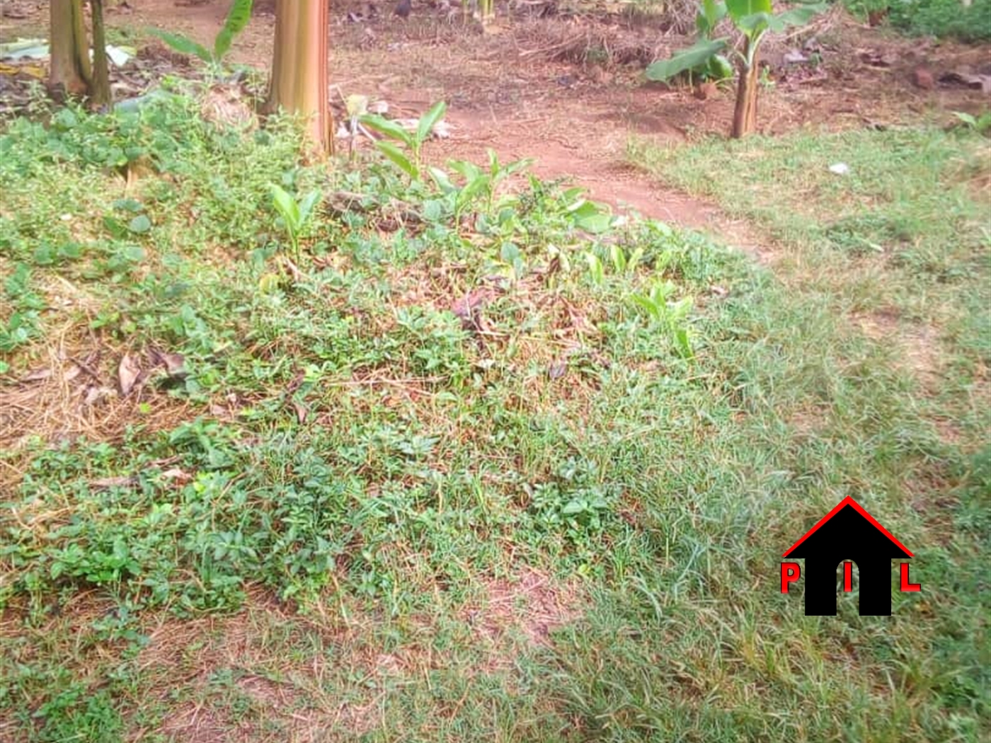 Commercial Land for sale in Kiwenda Wakiso