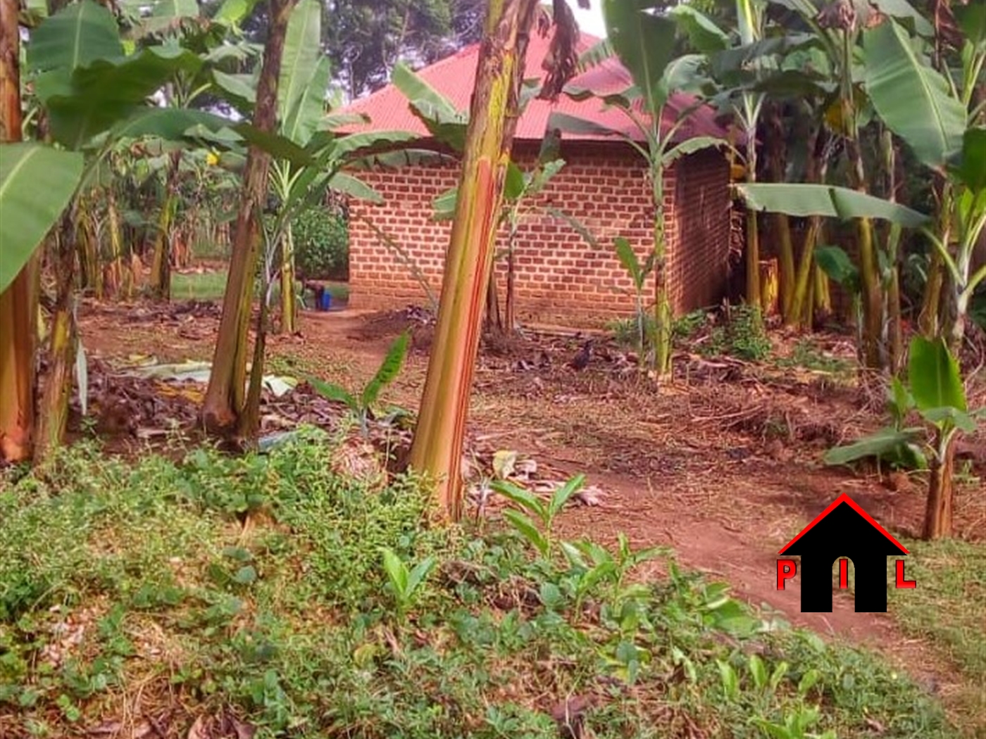 Commercial Land for sale in Kiwenda Wakiso