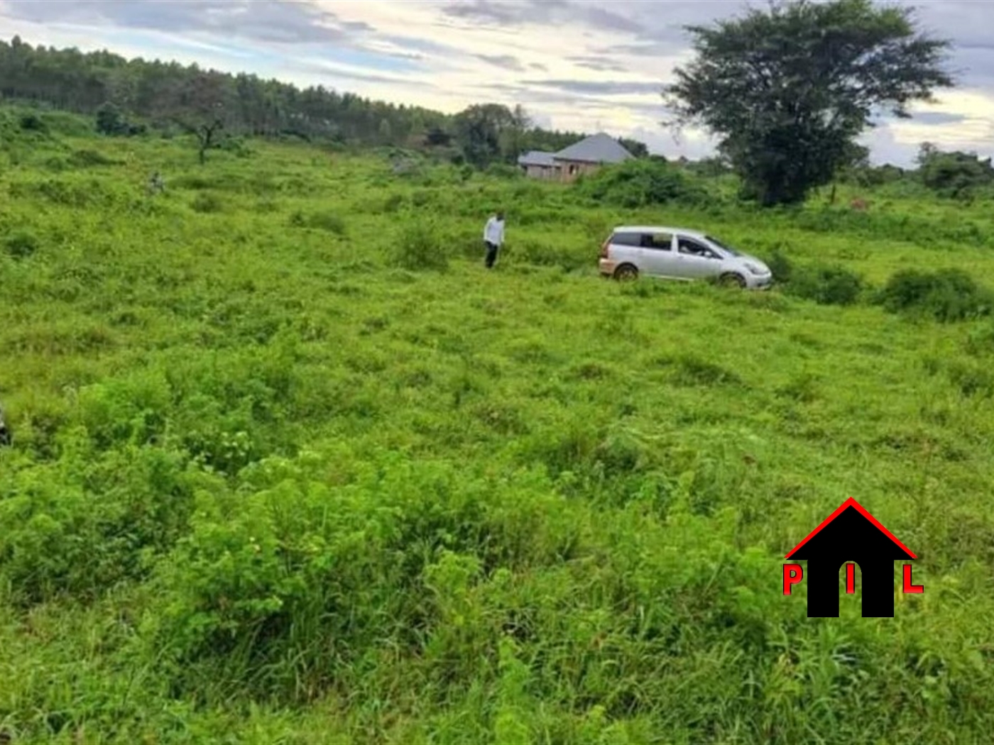 Agricultural Land for sale in Kassanda Mityana