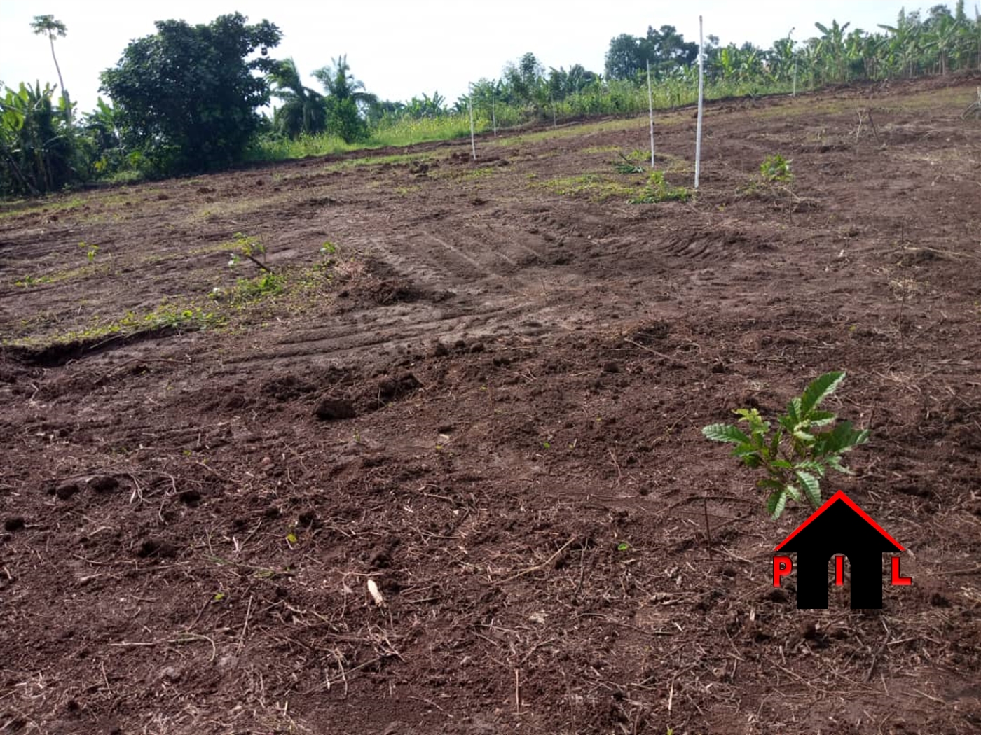 Residential Land for sale in Matugga Wakiso