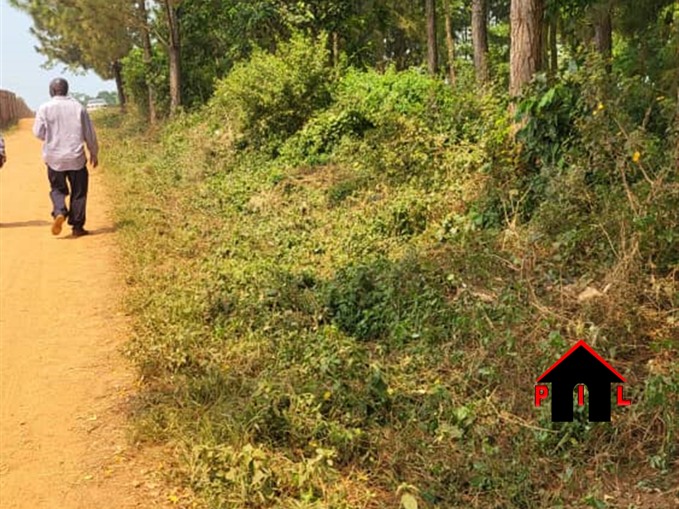 Commercial Land for sale in Kigo Wakiso