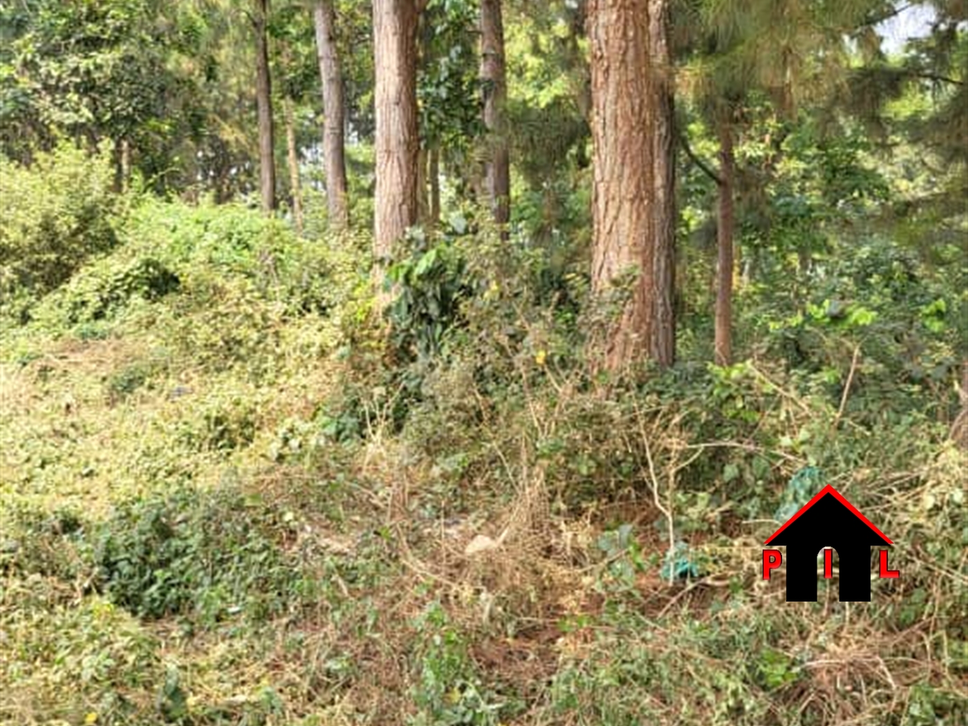 Commercial Land for sale in Kigo Wakiso