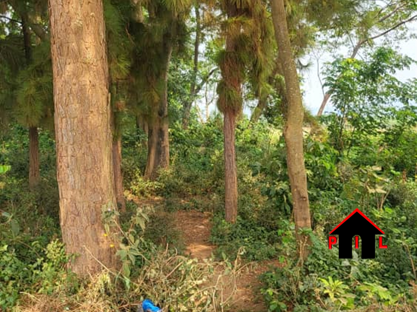 Commercial Land for sale in Kigo Wakiso