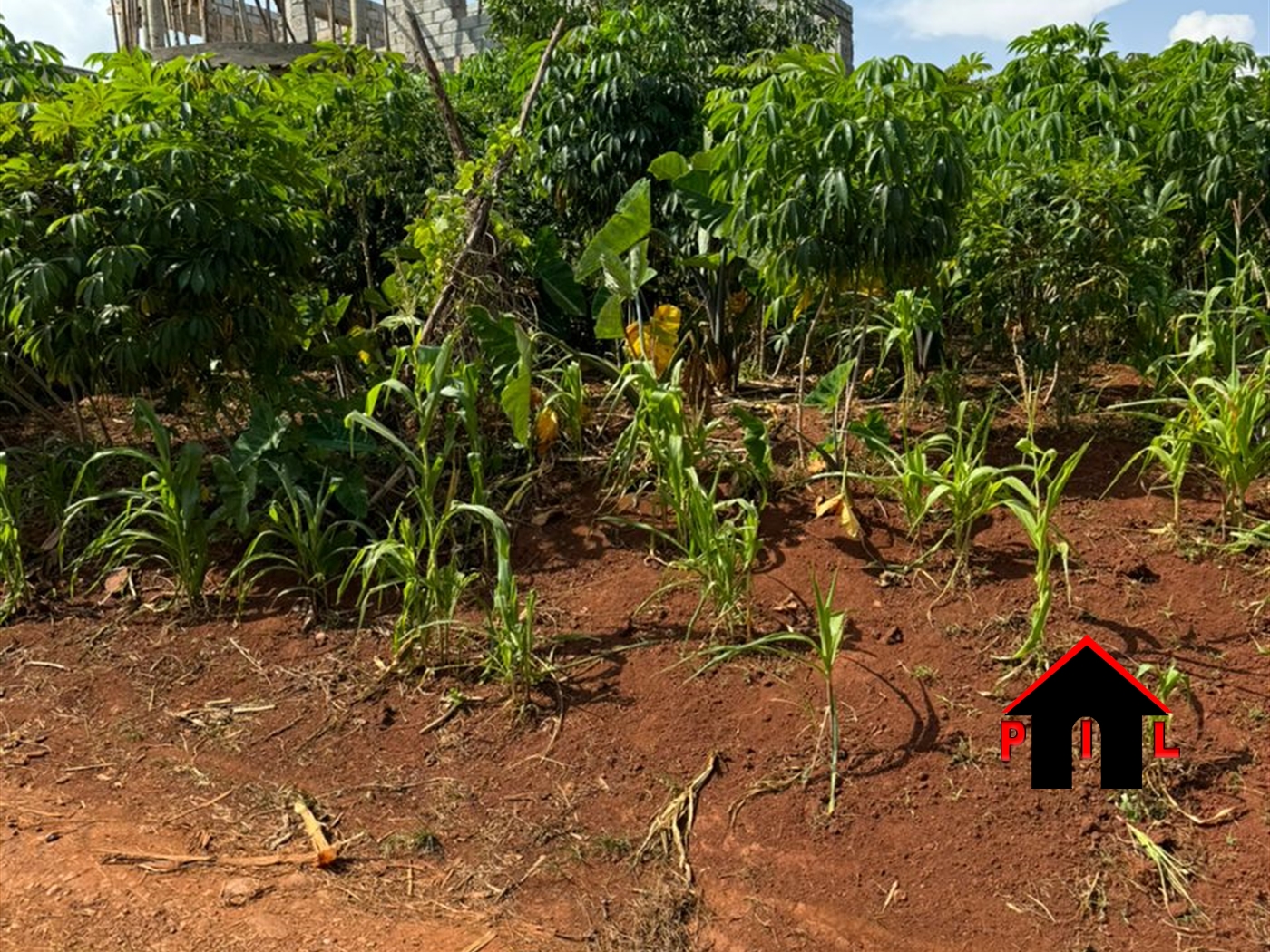 Residential Land for sale in Bunamwaaya Wakiso