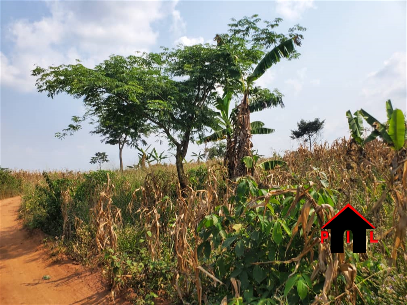 Agricultural Land for sale in Kamiraa Luweero