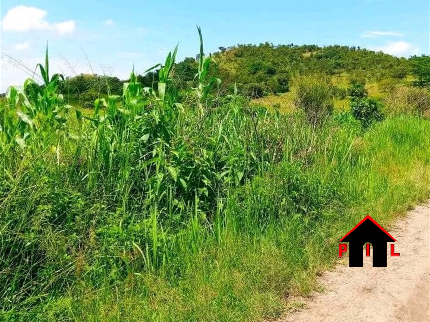 Agricultural Land for sale in Kamwengee Kamwenge