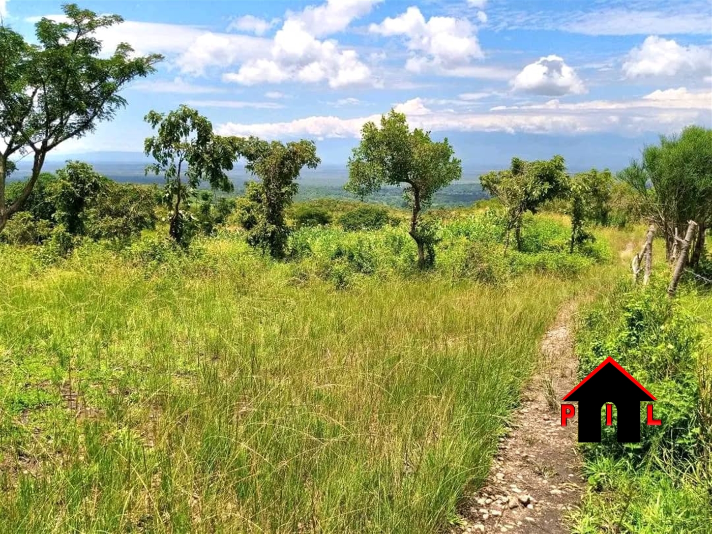 Agricultural Land for sale in Kamwengee Kamwenge