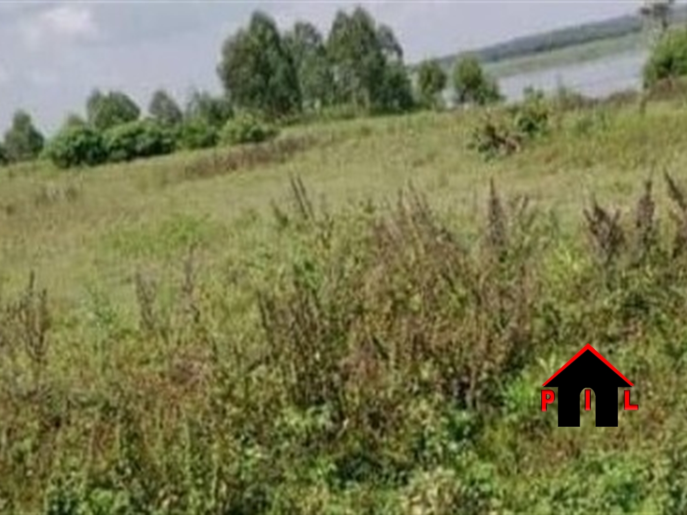 Agricultural Land for sale in Luwombo Buyikwe