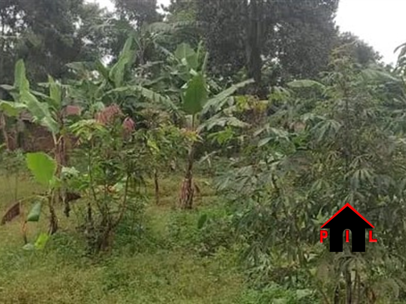 Residential Land for sale in Banga Wakiso