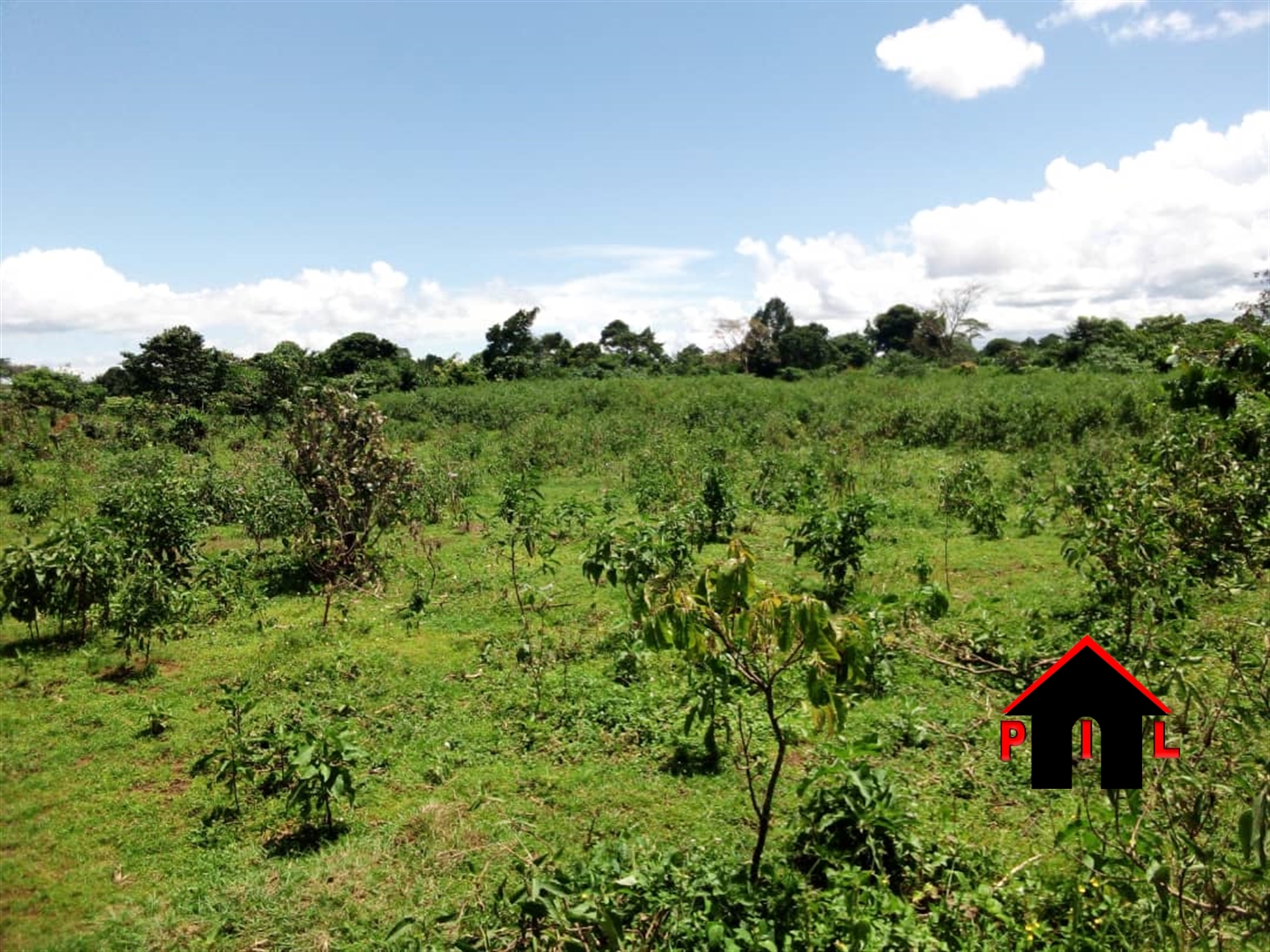 Commercial Land for sale in Bussiisland Wakiso