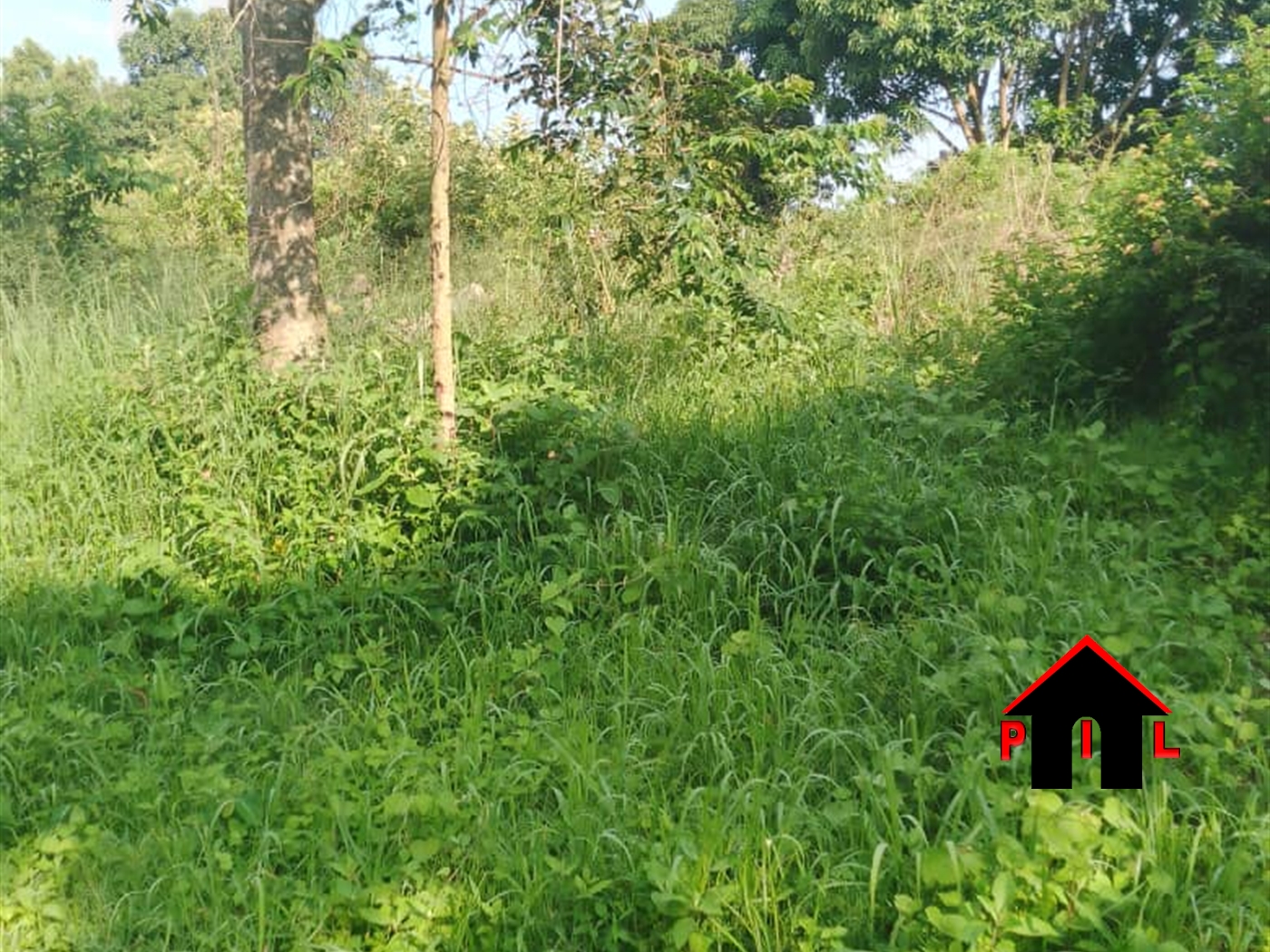 Commercial Land for sale in Bussiisland Wakiso