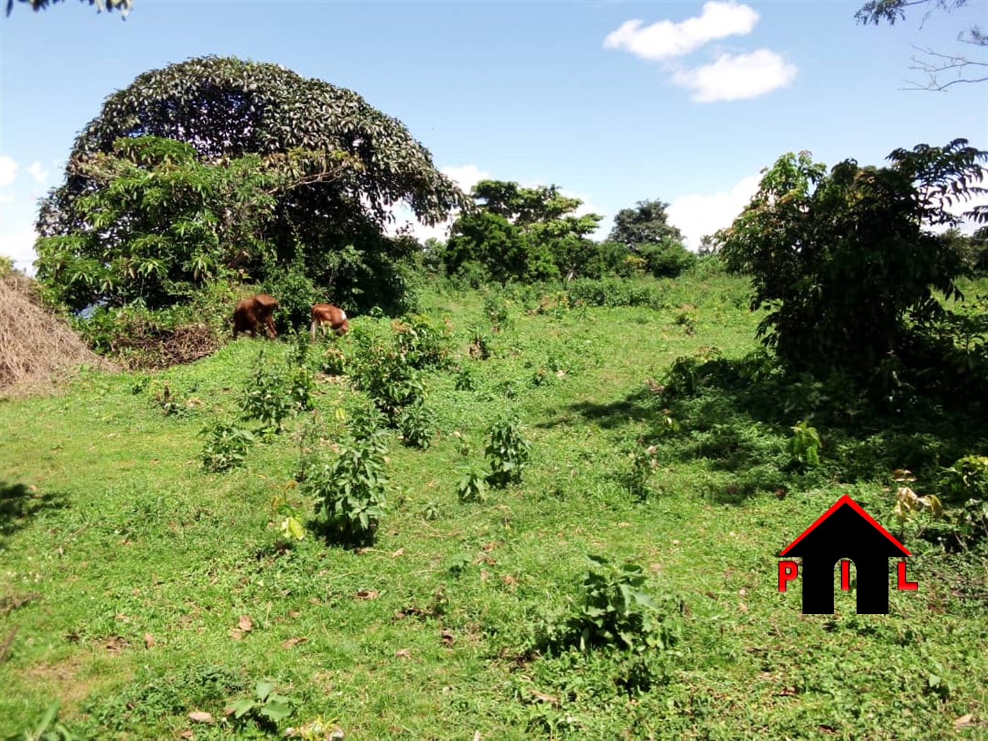 Commercial Land for sale in Bussiisland Wakiso