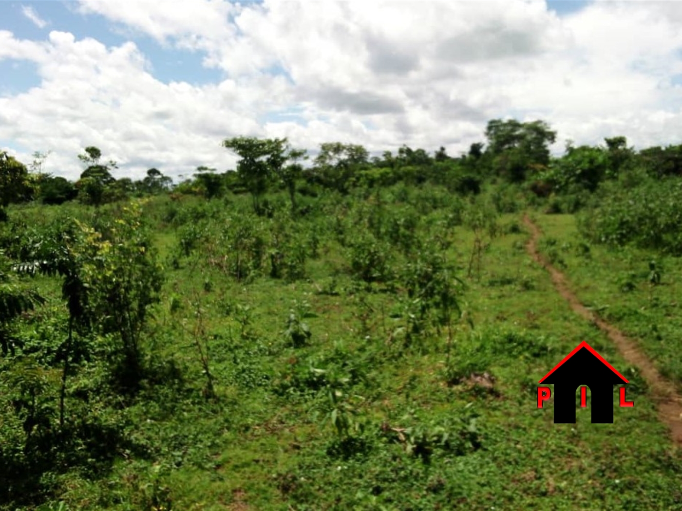 Commercial Land for sale in Bussiisland Wakiso