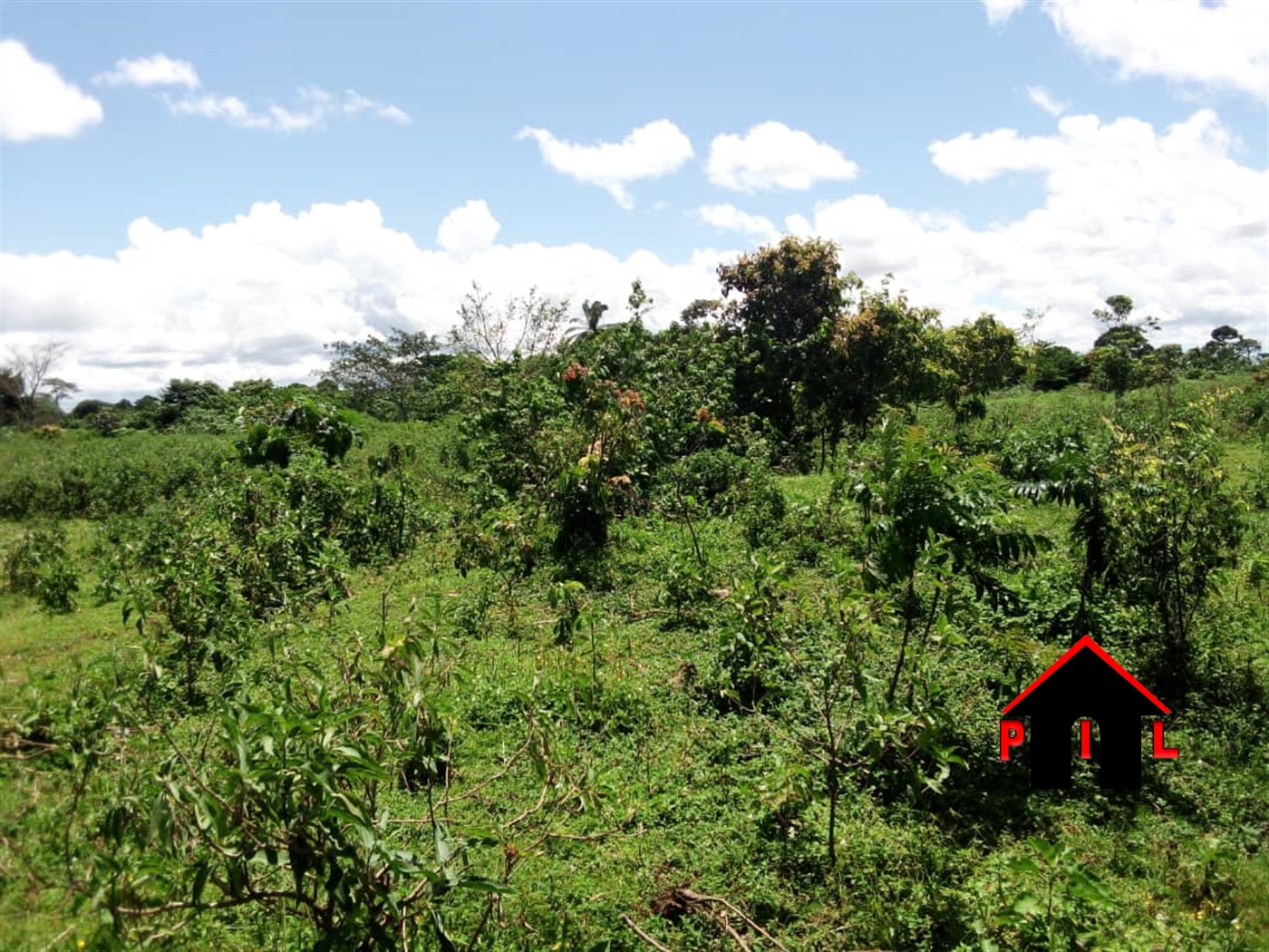 Commercial Land for sale in Bussiisland Wakiso