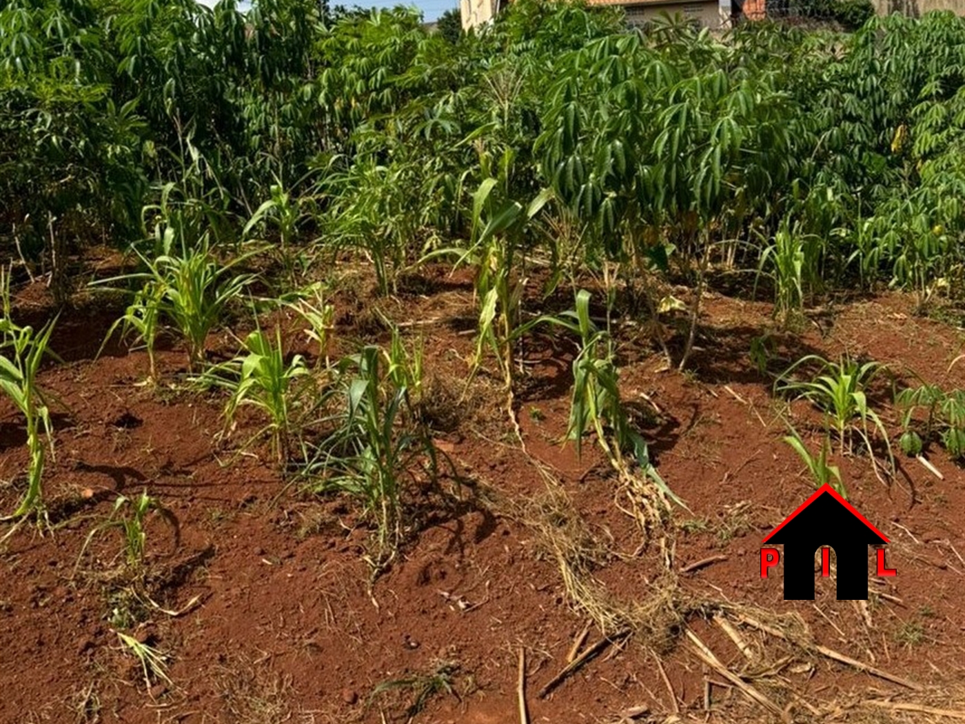 Residential Land for sale in Seguku Wakiso