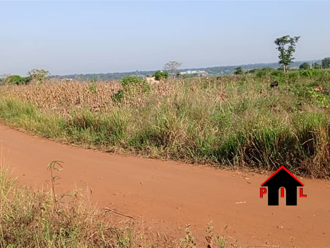 Agricultural Land for sale in Isimbabridge Kamuli