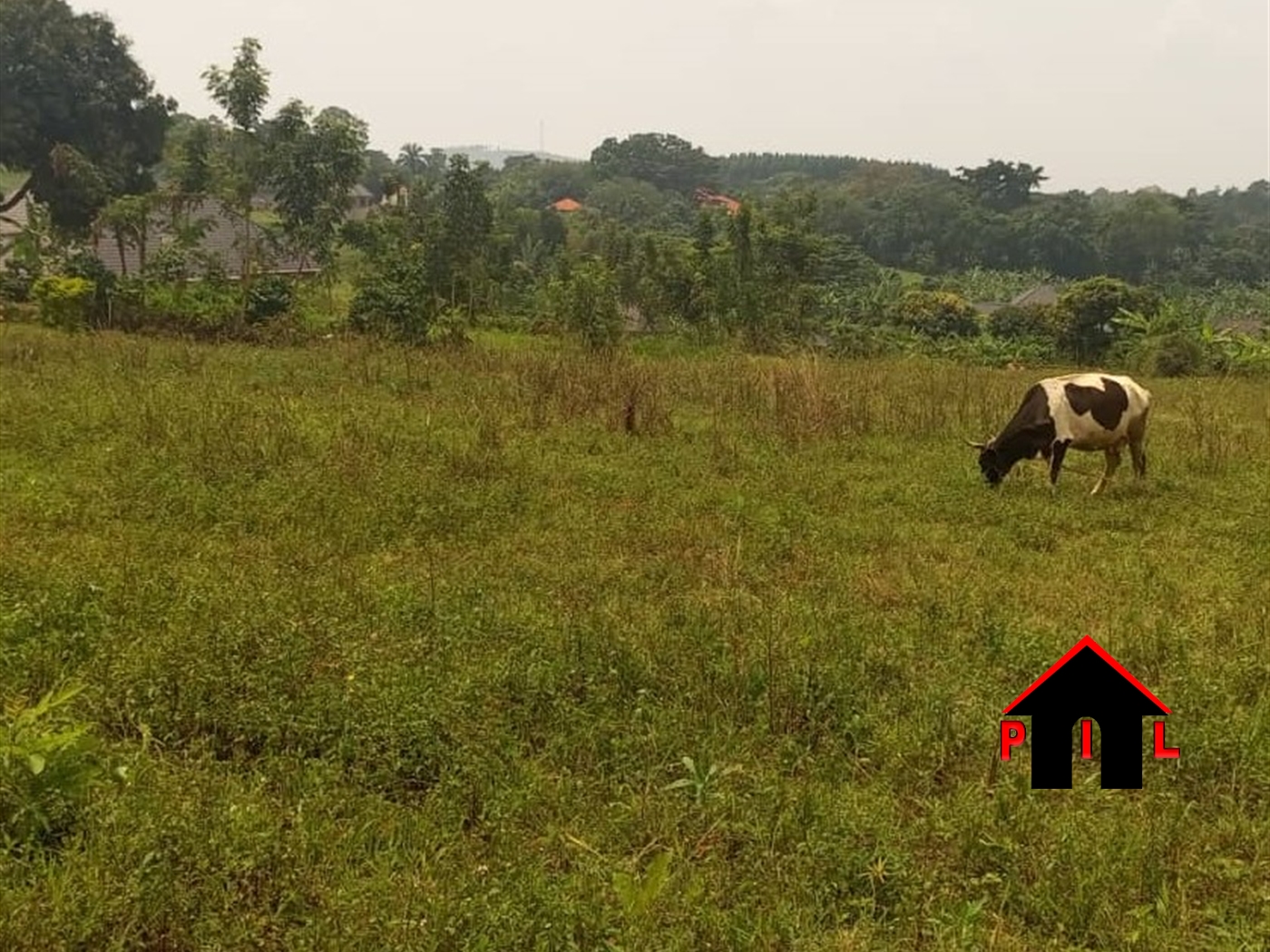 Residential Land for sale in Kiwenda Wakiso