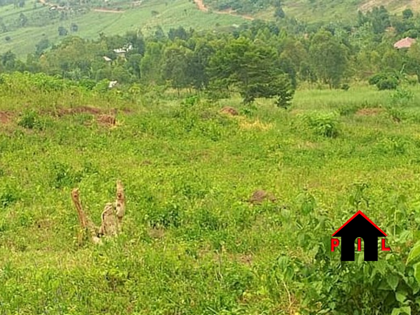 Residential Land for sale in Namataba Mukono