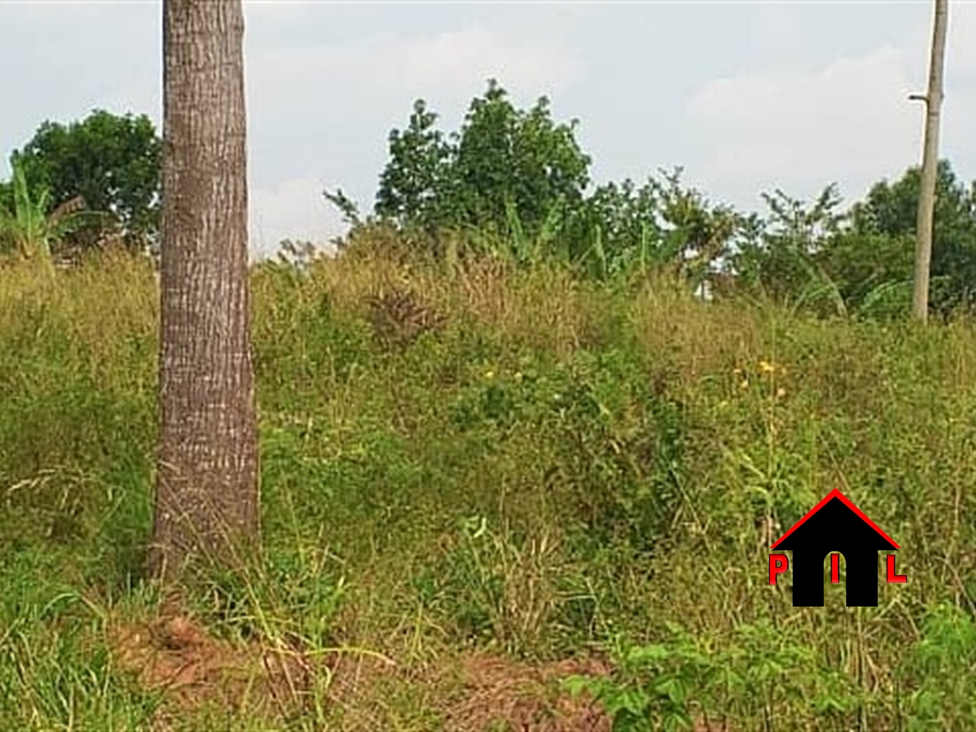 Agricultural Land for sale in Mbalala Mukono