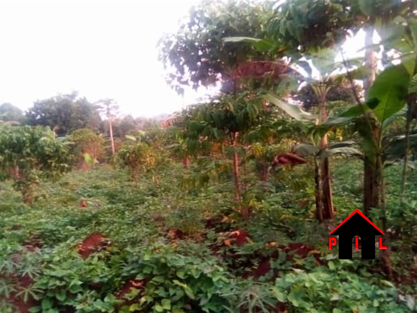 Residential Land for sale in Katosi Mukono