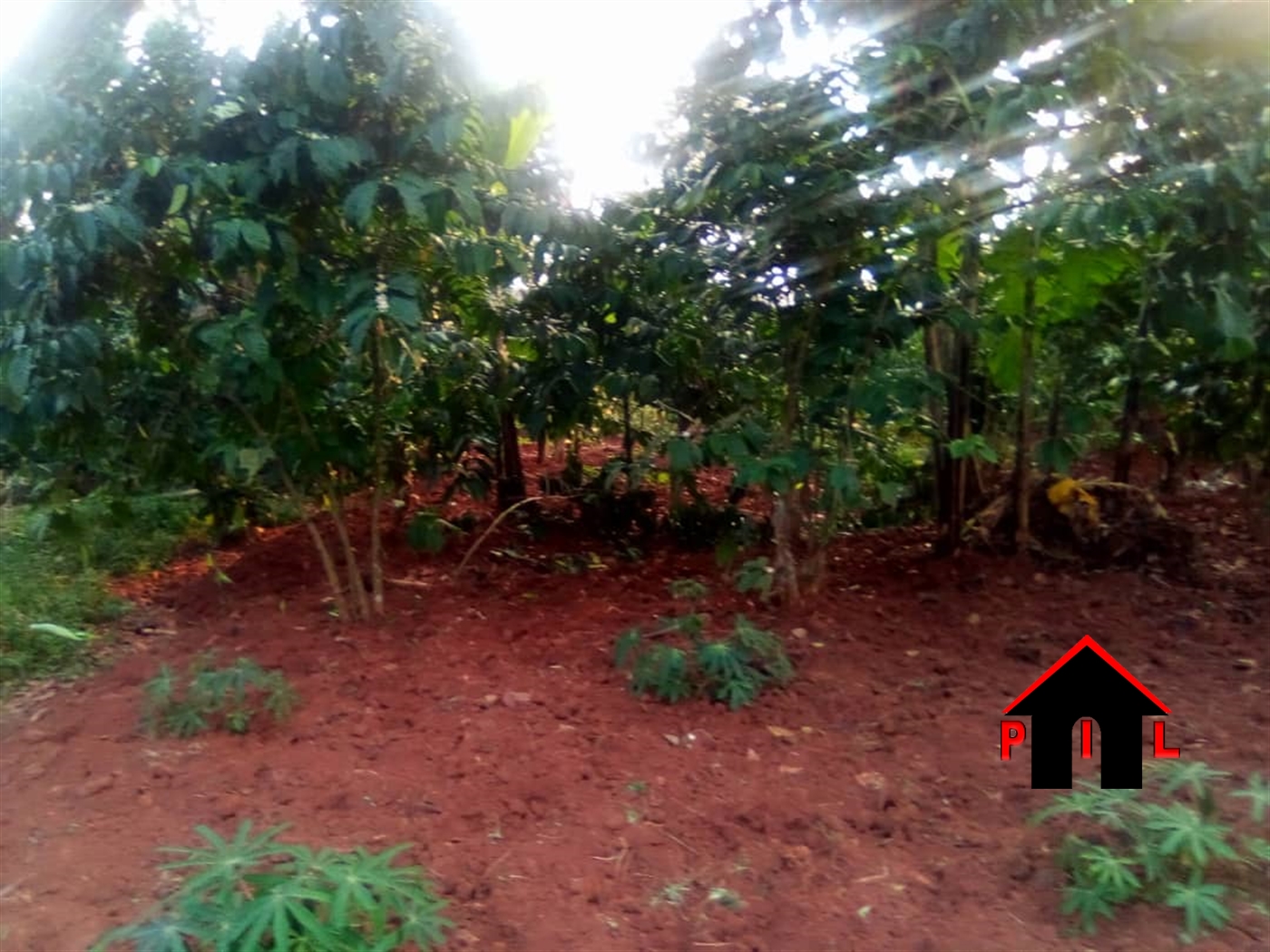 Residential Land for sale in Katosi Mukono