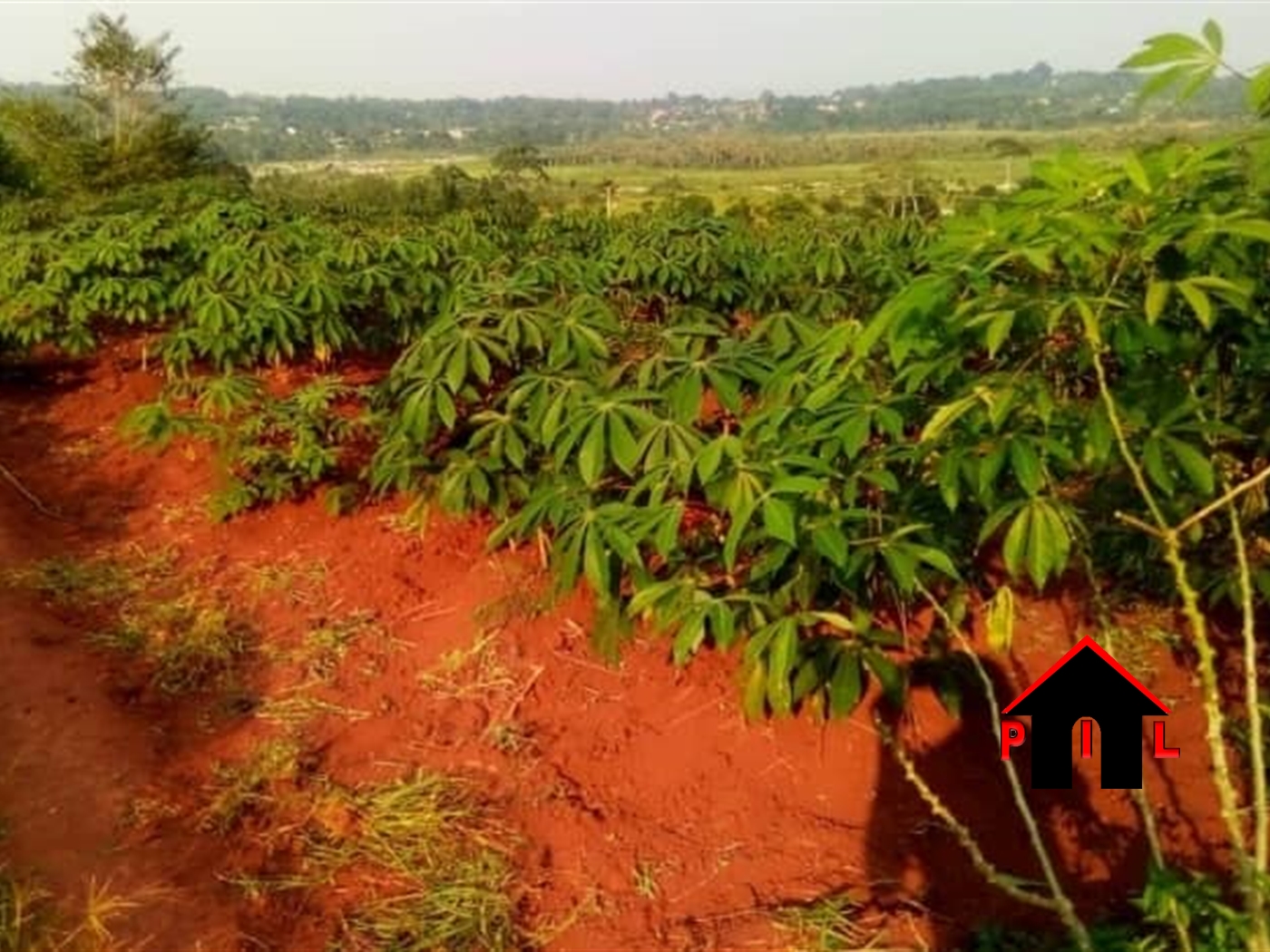 Agricultural Land for sale in Katosi Mukono