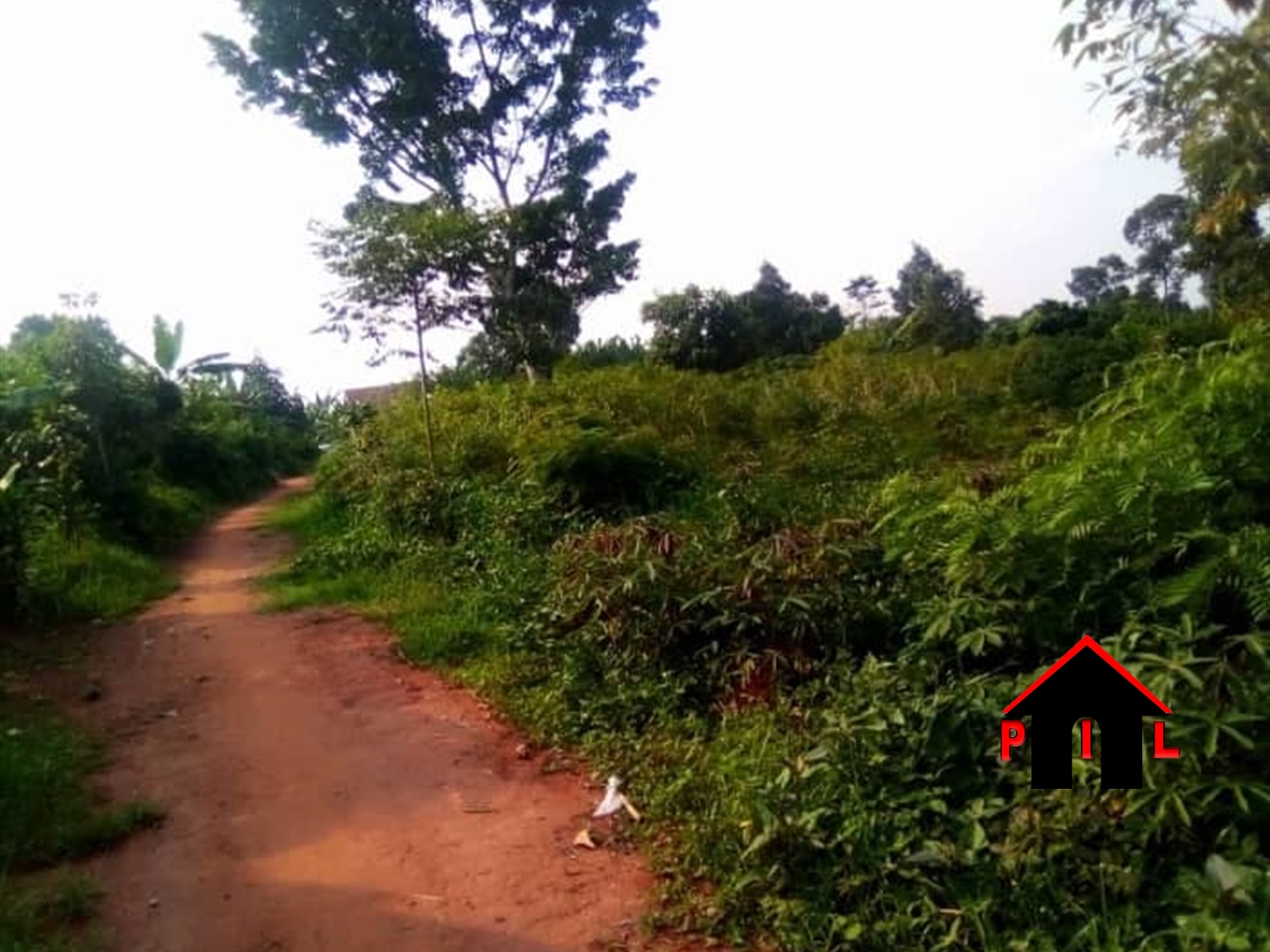 Agricultural Land for sale in Katosi Mukono