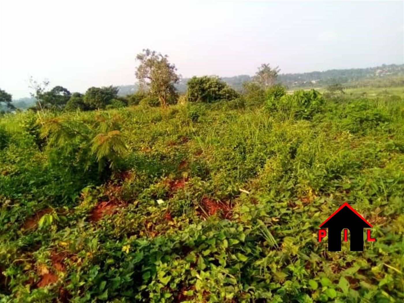 Agricultural Land for sale in Katosi Mukono