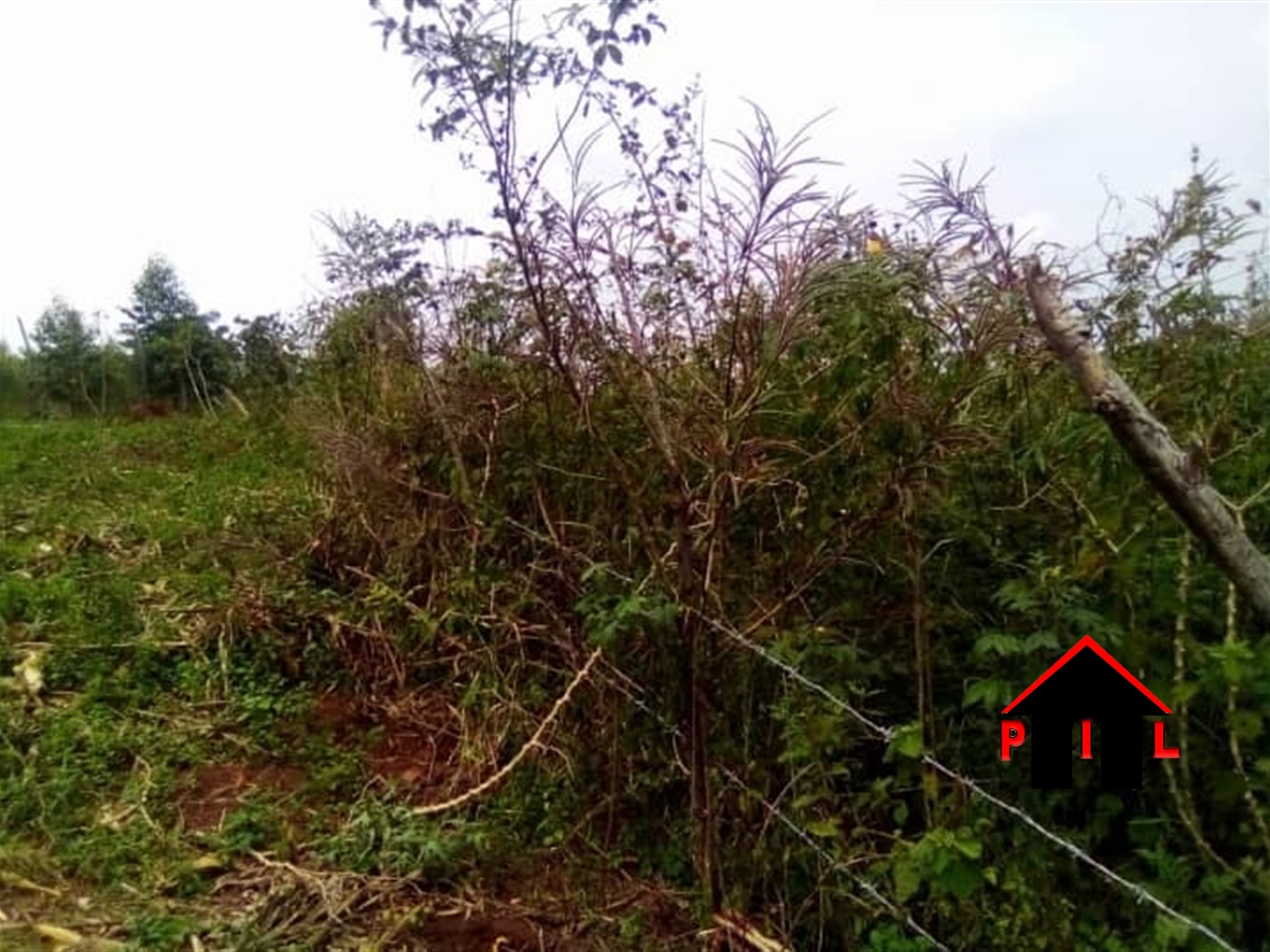 Agricultural Land for sale in Nkokonjeru Buyikwe