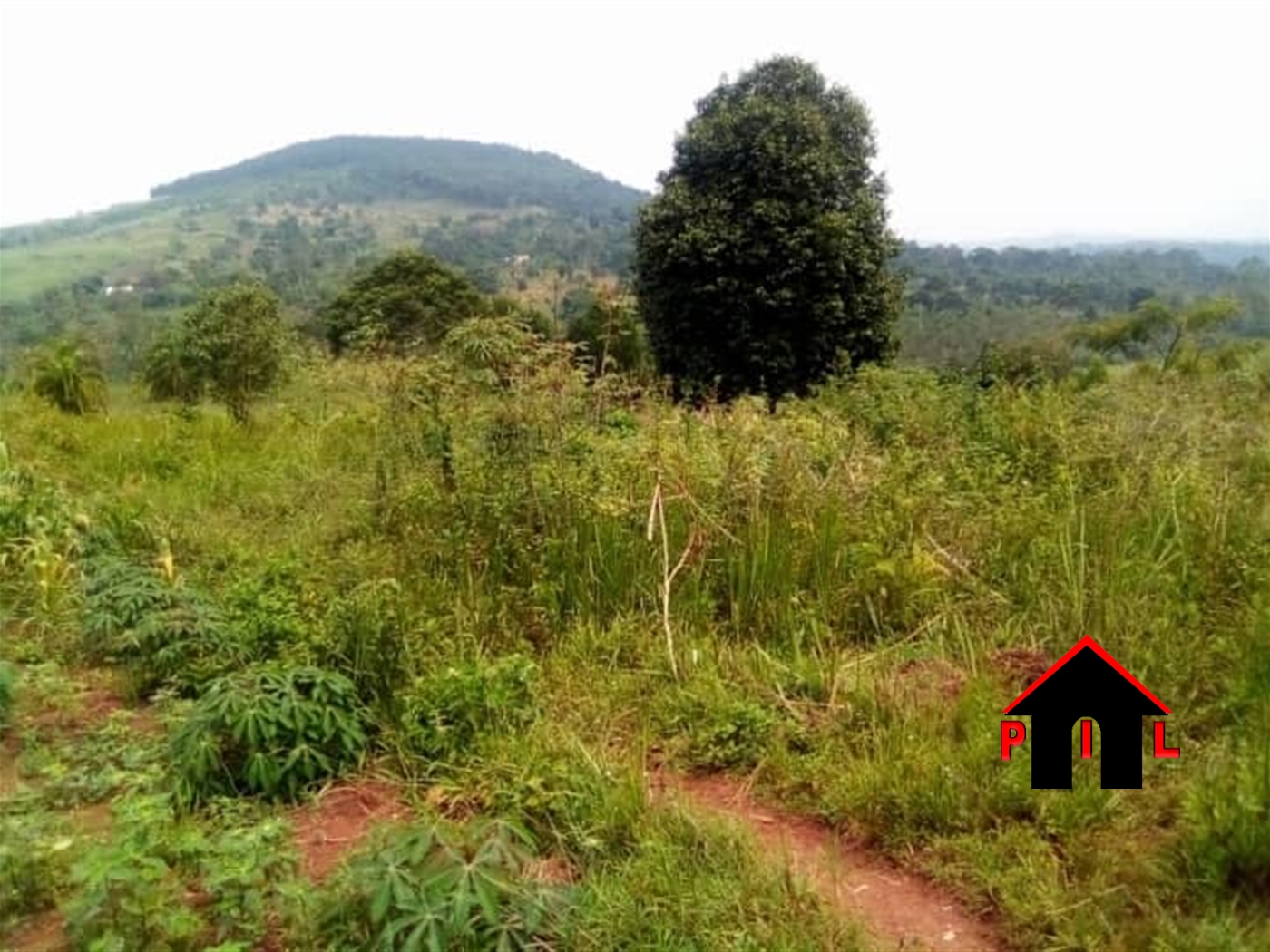 Agricultural Land for sale in Nkokonjeru Buyikwe