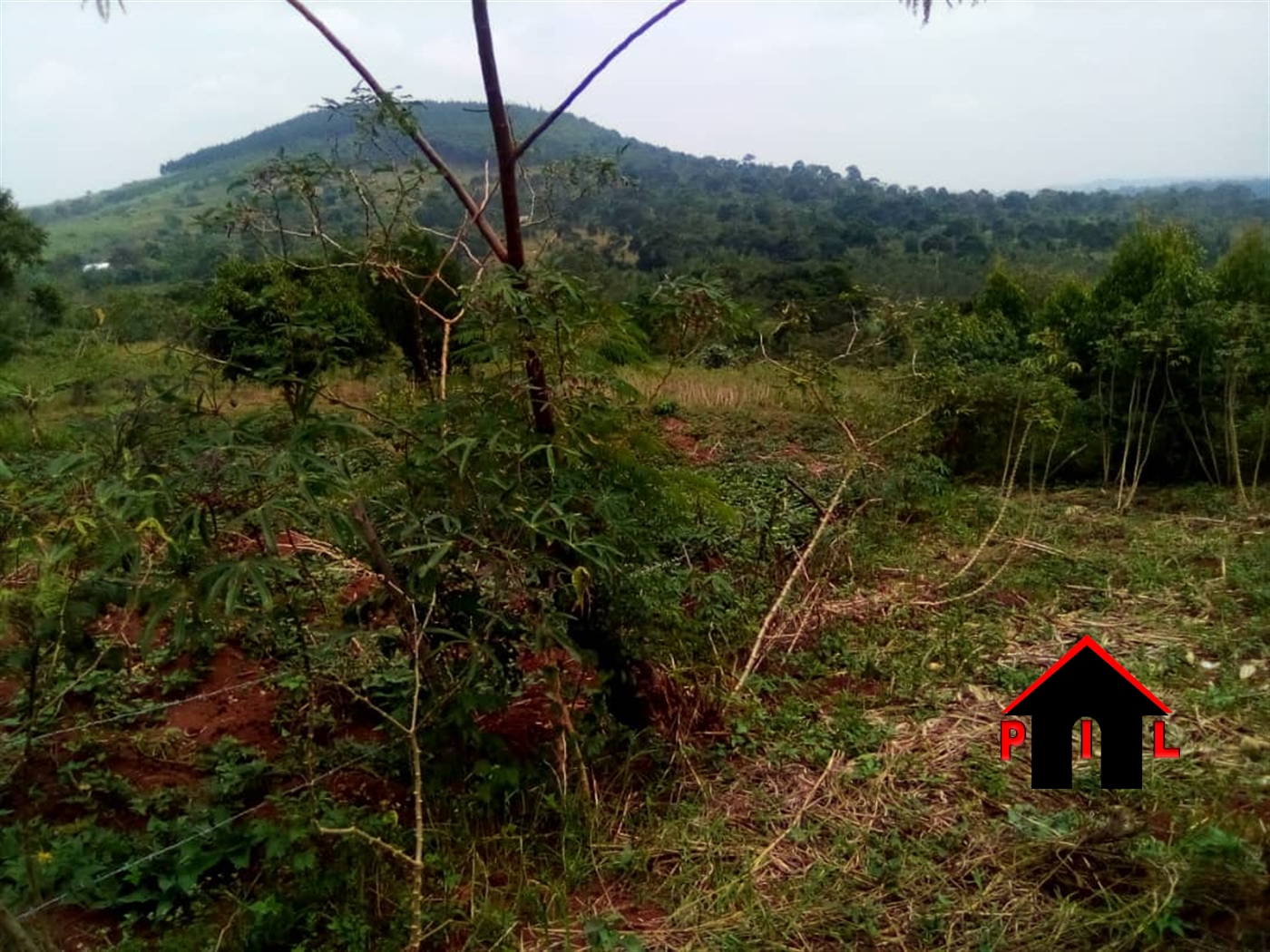 Agricultural Land for sale in Nkokonjeru Buyikwe