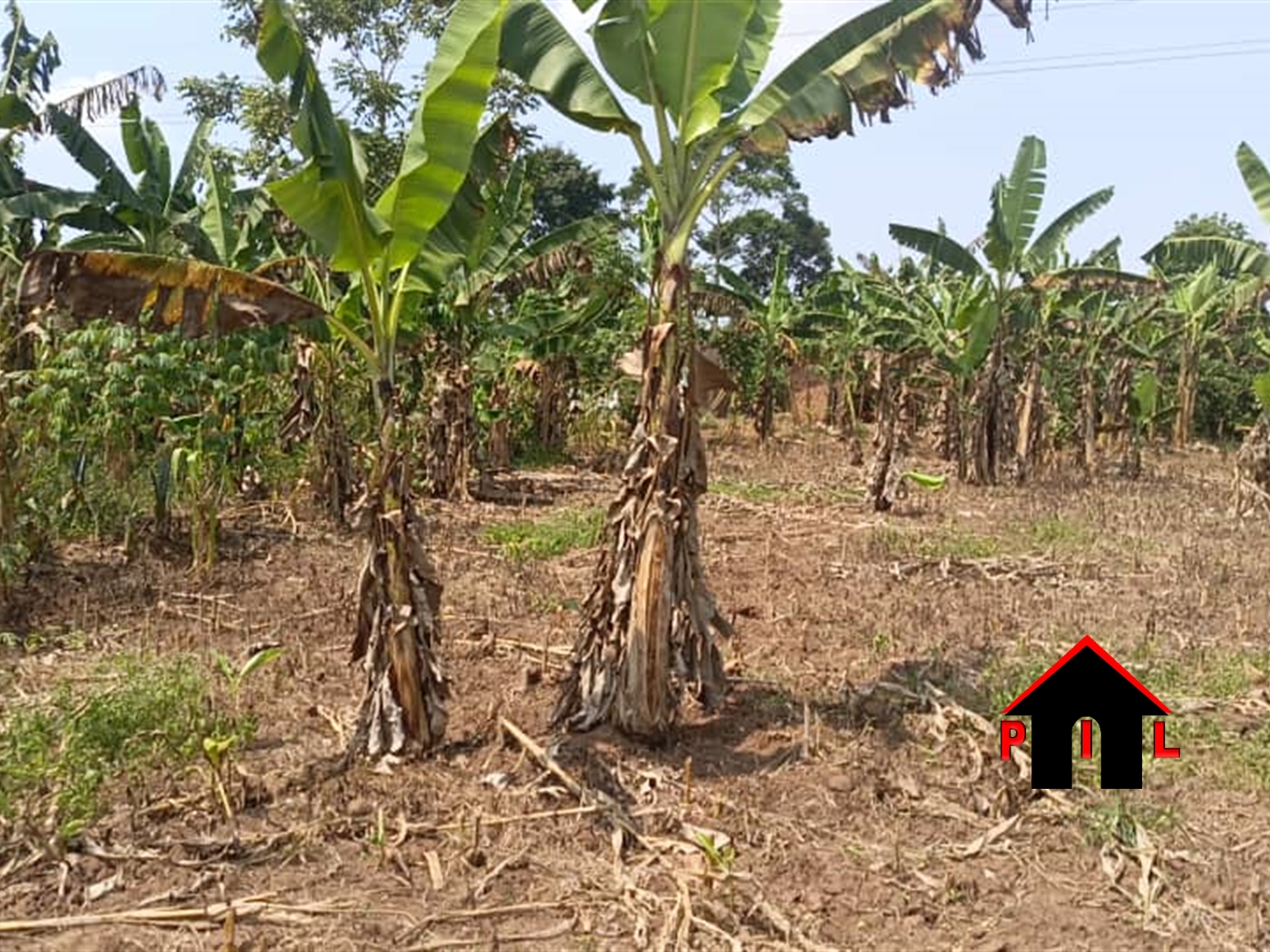 Residential Land for sale in Matugga Wakiso