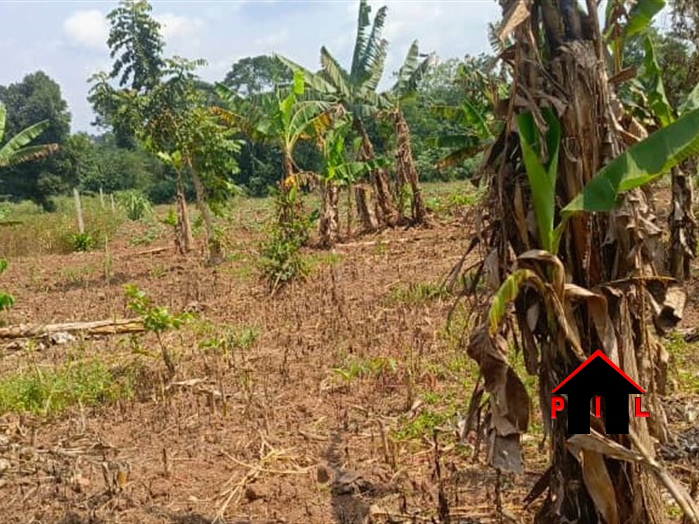 Residential Land for sale in Matugga Wakiso