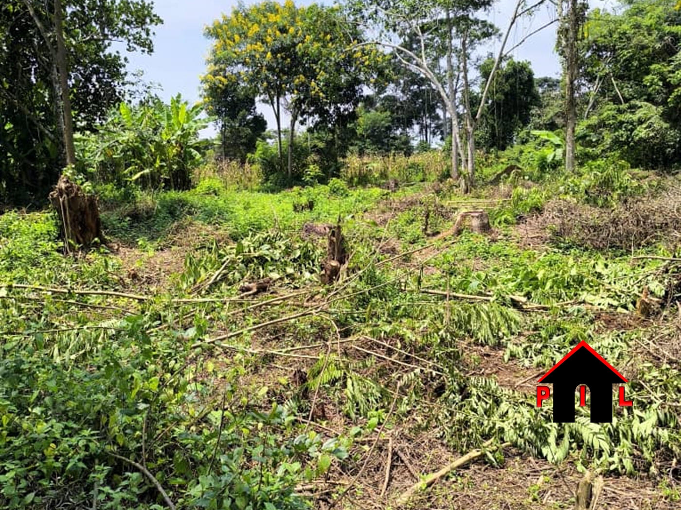 Farm for sale in Kakooge Luweero