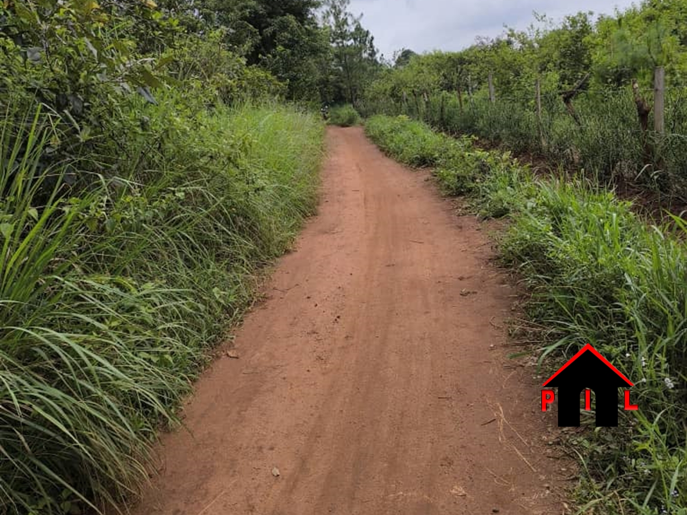 Farm for sale in Kakooge Luweero